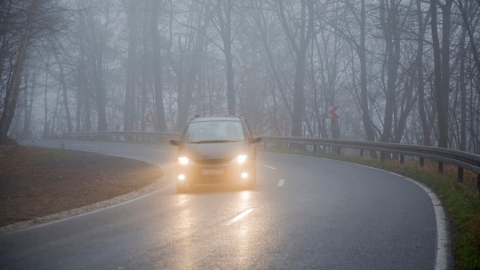 Накануне Дня автомобилистов водителей предупредили об опасности тумана