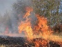 В Саратовской области вспыхнули лесные пожары