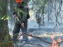 Как уследить  за лесными пожарами?