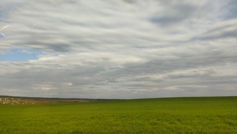 Собственники земельных долей в Романовском районе написали обращение к руководству региона