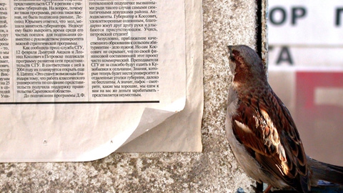 От печати до радости