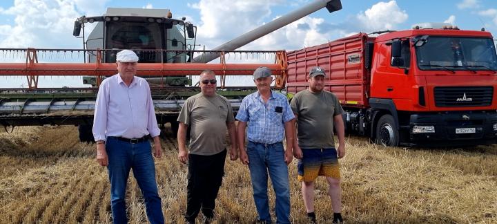 В ЗАКРОМАХ ЗЕРНО НОВОГО УРОЖАЯ