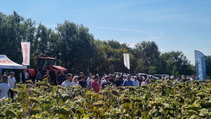 Агрополигон Мусаиба Агаларова