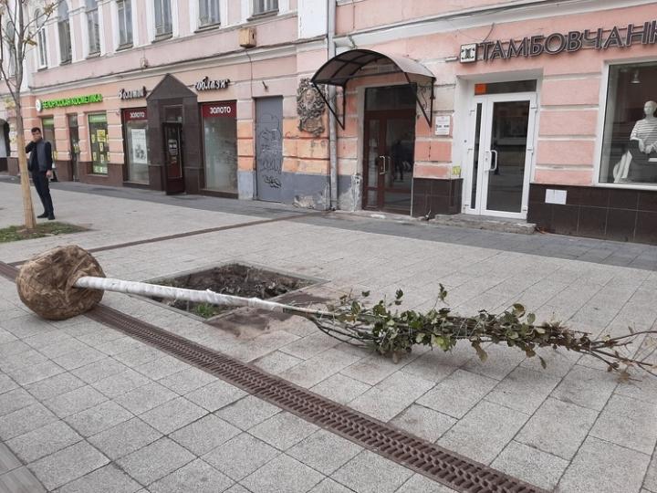 МОЛОДО-ЗЕЛЕНО?