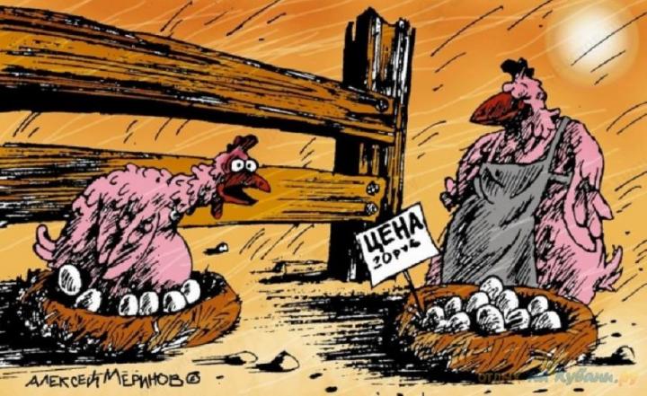 БУЛЬОН ТЕРЗАНИЙ