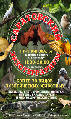 Новый Год 2022 Саратовская Область Новый Год 2022 Саратовская Область