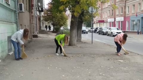 Ольга Копшева: Горе от депутатского ума