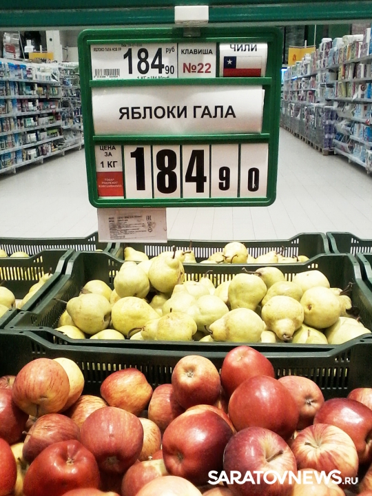 Сколько стоит яблоня