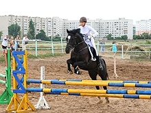 Состоялся открытый Чемпионат и первенство области по конному спорту 