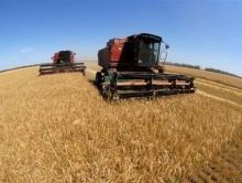 Уборка зерна в Саратовской области идет быстрее, чем в среднем по России