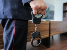Гражданин Капля получил условный срок за битье полицейского по рукам