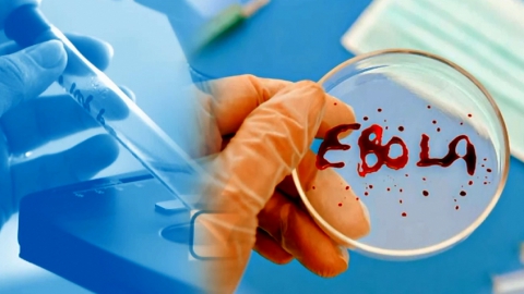 Минздрав: в Саратовской области нет заболевших лихорадкой Эбола