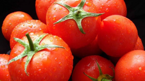 В Саратове помидоры дорожают быстрее прочих продуктов