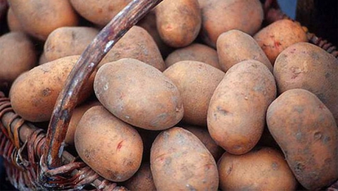 В Саратове цена на картошку превысила среднюю по ПФО