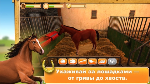 Под Саратовом украдены лошадь и айфон