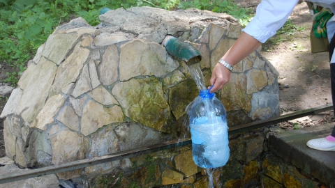 Экологи советуют саратовцам не доверять родниковой воде