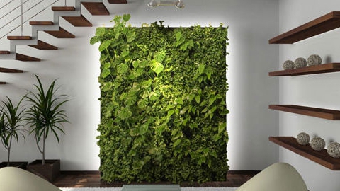 Владельцам домов и офисов предлагают новинку сезона - вертикальное озеленение