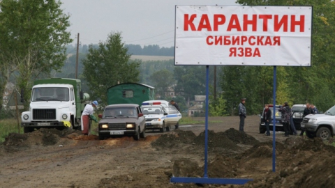 Николай Кузнецов одобрил комплекс действий против сибирской язвы