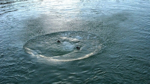 В Балакове на закрытом пляже утонул нетрезвый москвич