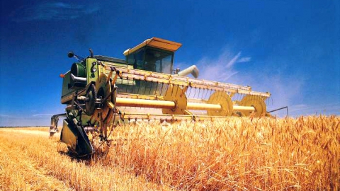 В Саратовской области обмолочено зерно более чем с половины территорий