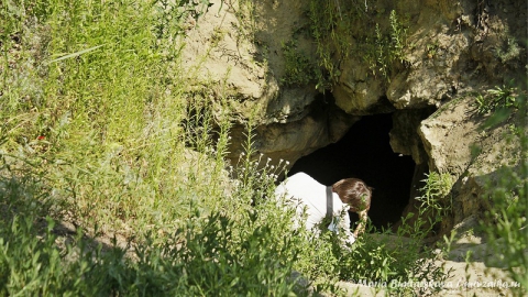 Абоненты "Ростелекома" отправились на поиски сокровищ в Кудеярову пещеру в Саратовской области