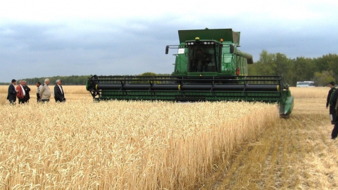 В Саратовской области собрали 3,2 миллиона тонн зерна
