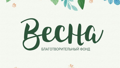 Магазин Весна Саратов Официальный Сайт