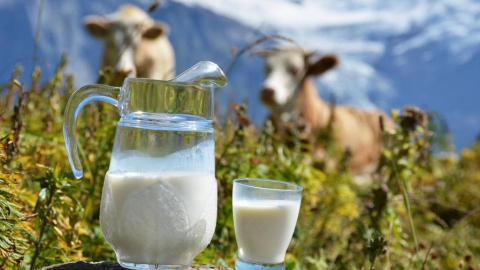 Саратовский молочный комбинат оштрафовали за некачественную продукцию