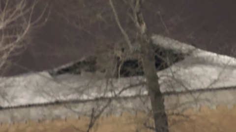 Под завалами снега обрушилась крыша дома
