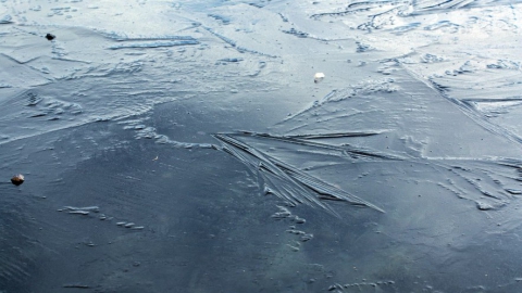 ГИМС предупредила об опасности выхода на тонкий лед