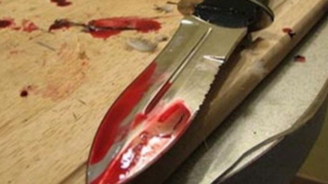 Ранивший ножом сотрудника ГИБДД мужчина 14 лет проведет в колонии особого режима