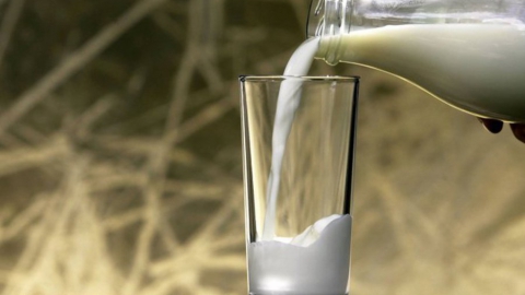 6,8 процента проверенного в России молока оказалось фальсификатом
