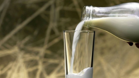 С 1 июля молочные продукты нужно будет регистрировать в системе «Меркурий»