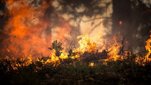 Синоптики предупредили о чрезвычайной пожарной опасности