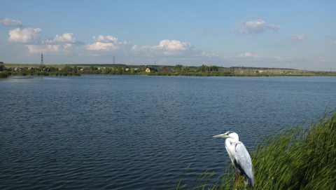Тема самозахвата береговой полосы Александровского водохранилища получила мощное продолжение Тема самозахвата береговой полосы Александровского водохранилища получила мощное продолжение