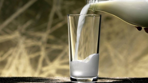 В Саратовской области с начала года нашли 23 фальсифицированных молочных продукта