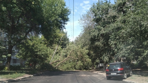 Рухнувшее дерево перекрыло проезд по Шелковичной