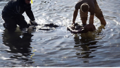 Женщина утонула на глазах дочери и зятя, пытаясь переплыть реку
