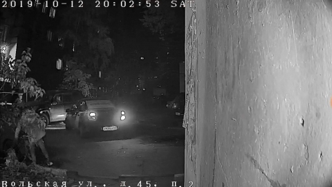 Выбросившая во дворе мусор девушка попала в объектив камеры видеонаблюдения