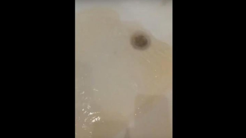 Балаковцам приходится мыться грязной водой. Видео