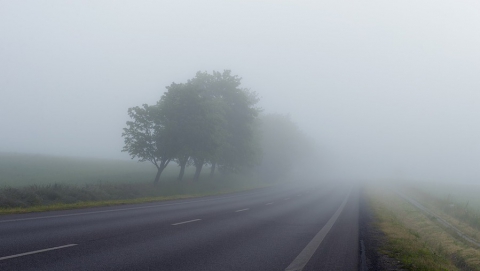 ГИБДД предупреждает водителей о тумане