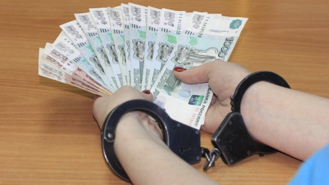 Женщину оштрафовали за попытку дать взятку ГИБДДшнику