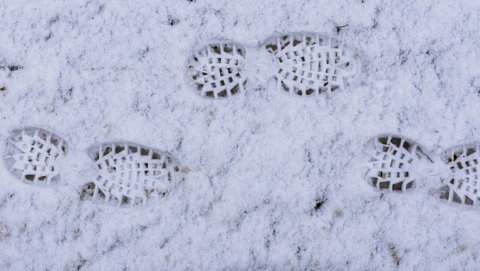 В Хвалынске магазинных воров нашли по следам на снегу