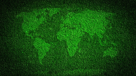 Поволжский банк Сбербанка приглашает на благотворительную онлайн-викторину, посвященную Дню эколога
