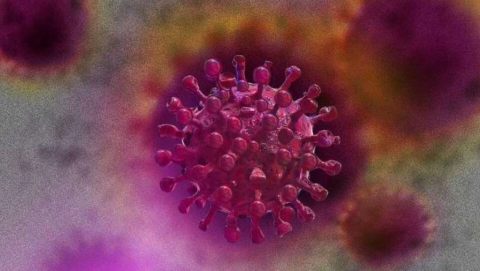 Россия впервые в мире зарегистрировала вакцину от коронавируса