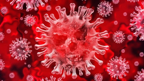 Уже 79 саратовцев умерли из-за коронавируса