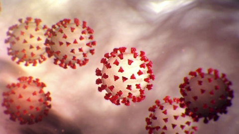 Минздрав: одна из популярных болезней в десять раз увеличивает риск заразиться коронавирусом