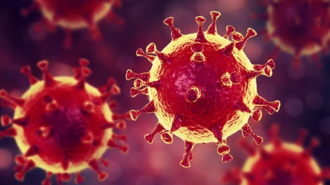 Отсутствию заболевших коронавирусом в Энгельсе найдено объяснение