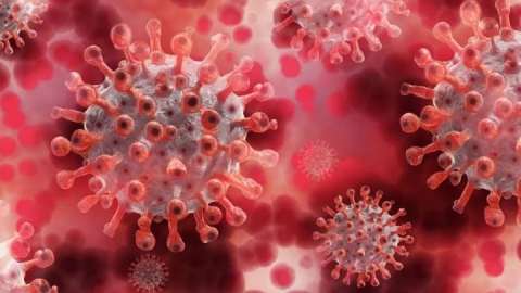 Саратов каждый день бьет рекорды по коронавирусу - 241 заболевший