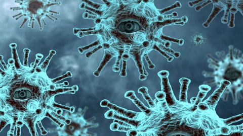 Заболеваемость коронавирусом наконец-то перестала расти